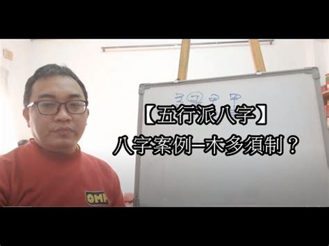 八字木多的人|八字木多的人命运如何 八字木多的人有什么特点